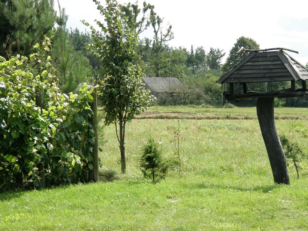 Agroturystyka "Bociek" Belk  Luaran gambar