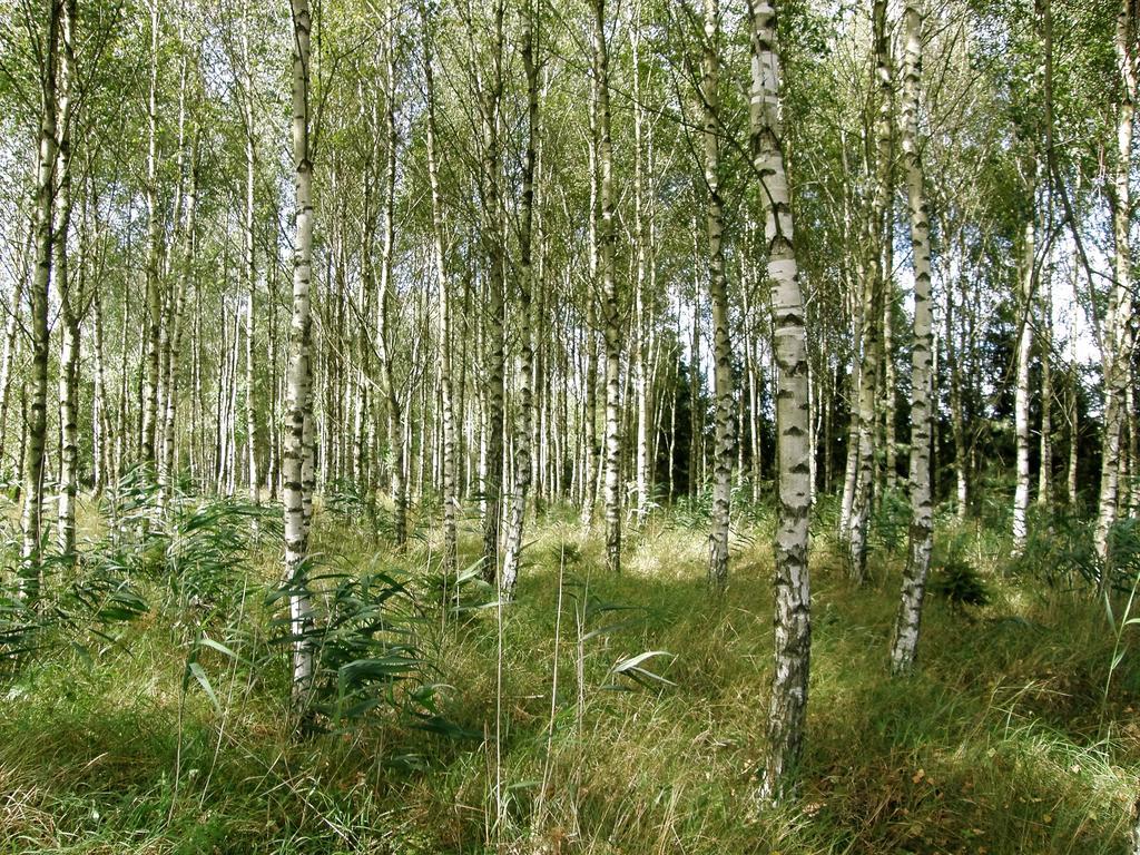 Agroturystyka "Bociek" Belk  Luaran gambar