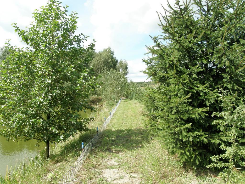 Agroturystyka "Bociek" Belk  Luaran gambar